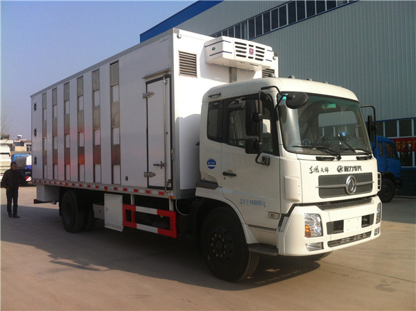 東風(fēng)天錦雛禽運(yùn)輸車
